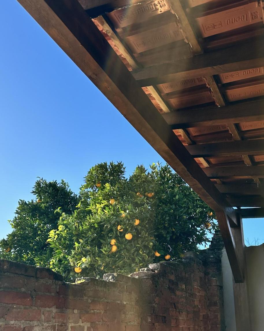 La Casita Nazare - Private Pool Villa Exterior photo